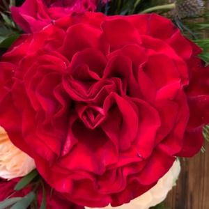 Meet your Posher, Melissa